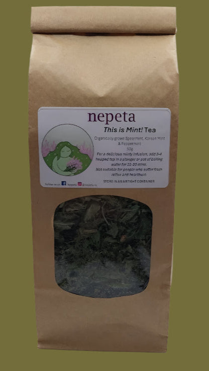 This Is Mint! Tea - Nepeta peppermint tea
