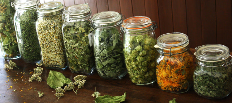 First Aid Kit - small - Nepeta