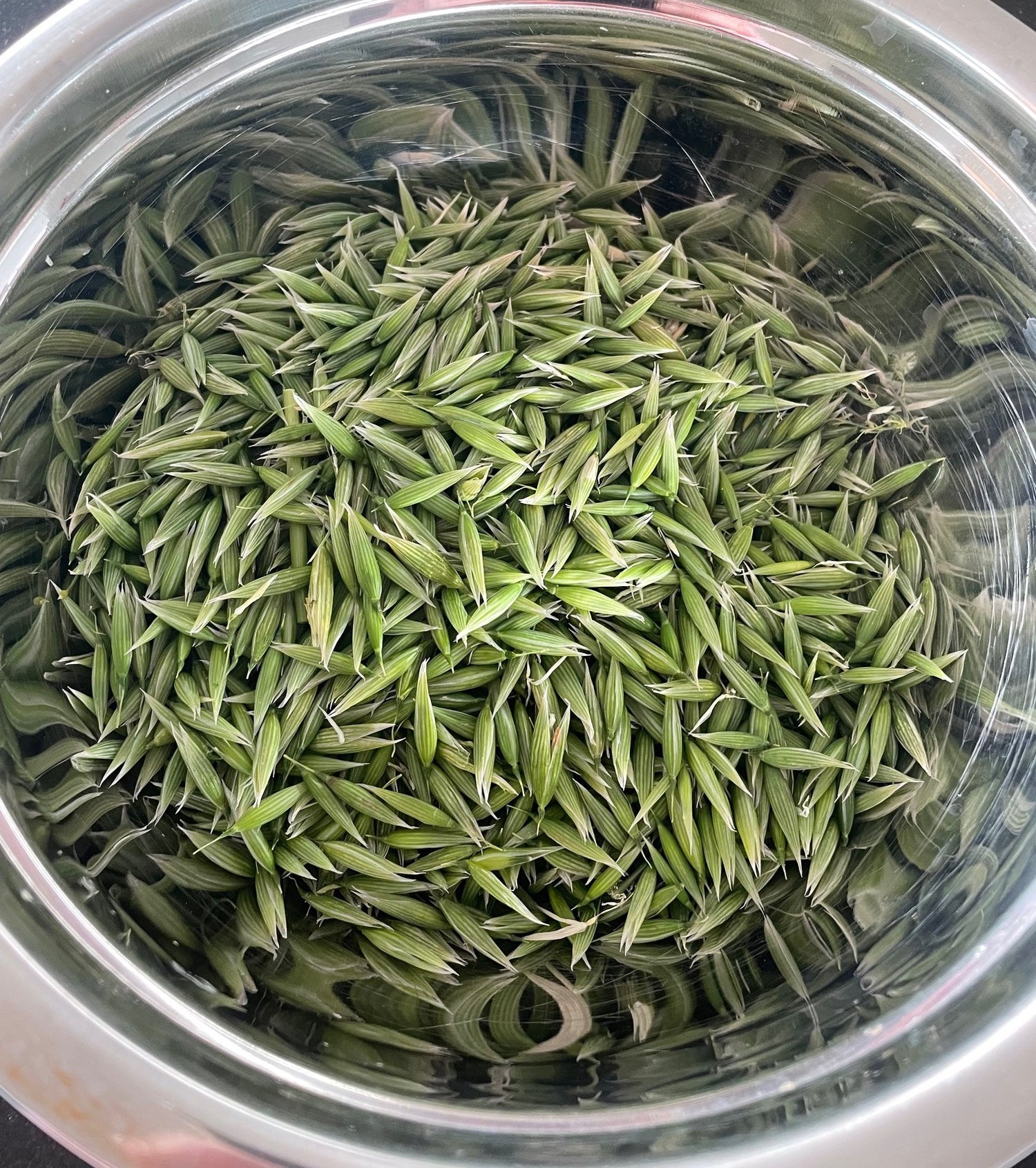 Relax-Me Tea - Nepeta - natural treatment for stress