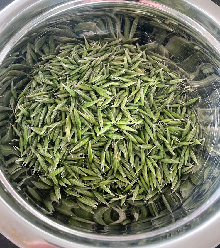 Relax-Me Tea - Nepeta - natural treatment for stress