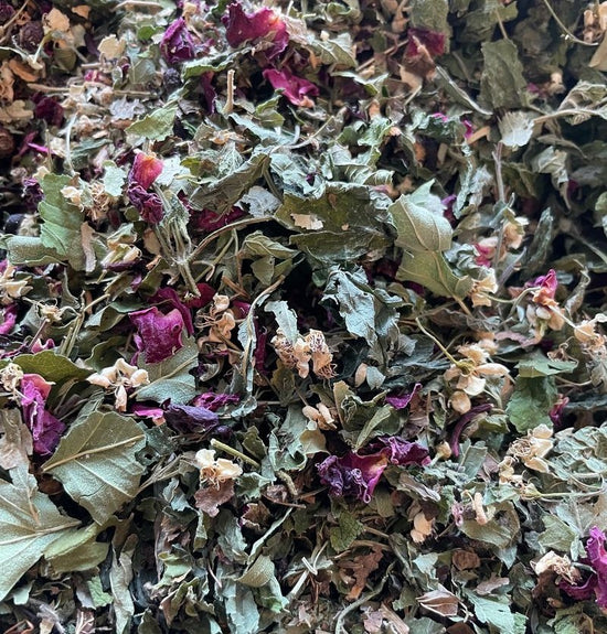 All-Heart Herbal Tea - Nepeta natural medicine for the heart