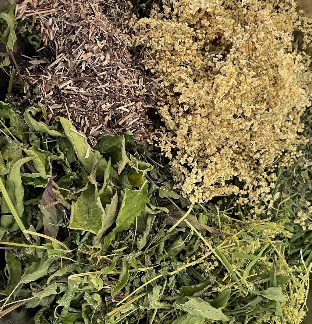 Seasonal Allergy Tea - Nepeta - natural remedy for hay fever