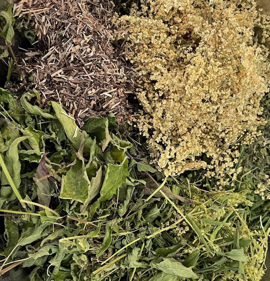 Seasonal Allergy Tea - Nepeta - natural remedy for hay fever