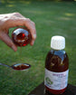 Cough Syrup for dry cough - Nepeta 