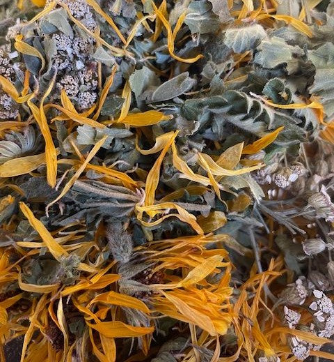 Digestive Repair Tea - Nepeta natural treatment for gut inflammation