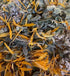 Digestive Repair Tea - Nepeta natural treatment for gut inflammation