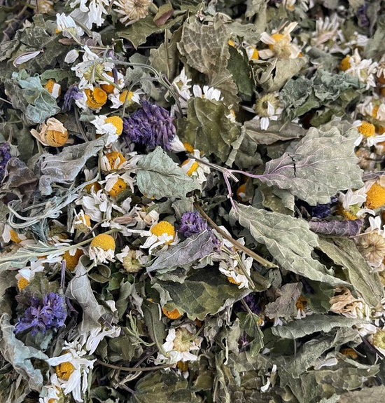 Digestive Support Tea - Nepeta natural treatment for bloating and gas