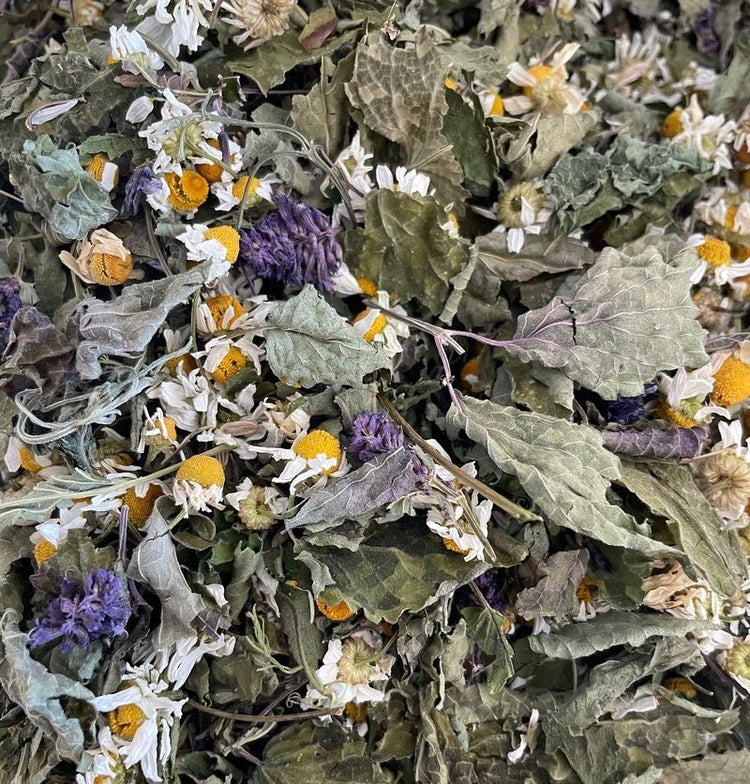 Digestive Support Tea - Nepeta natural treatment for bloating and gas