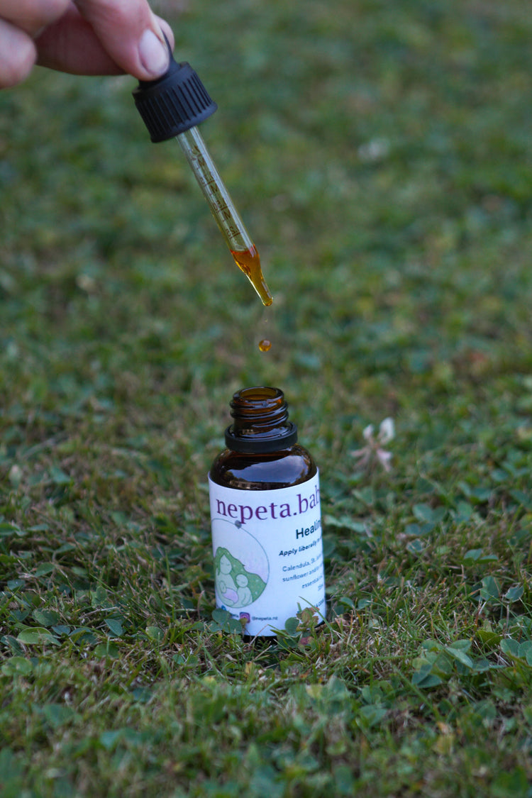 Healing oil - Nepeta - best oil to help with scars 