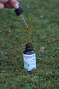 Healing oil - Nepeta - best oil to help with scars 