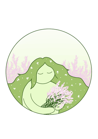 Nepeta 