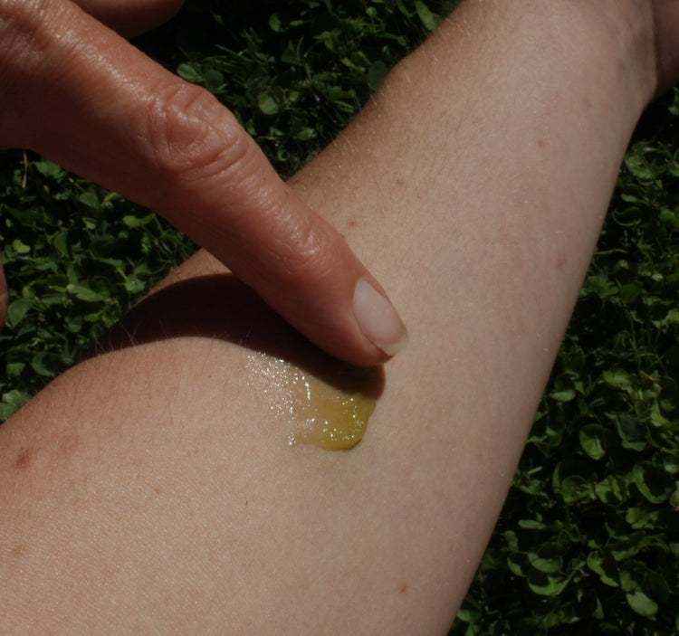  natural treatment for muscle strain - Nepeta 