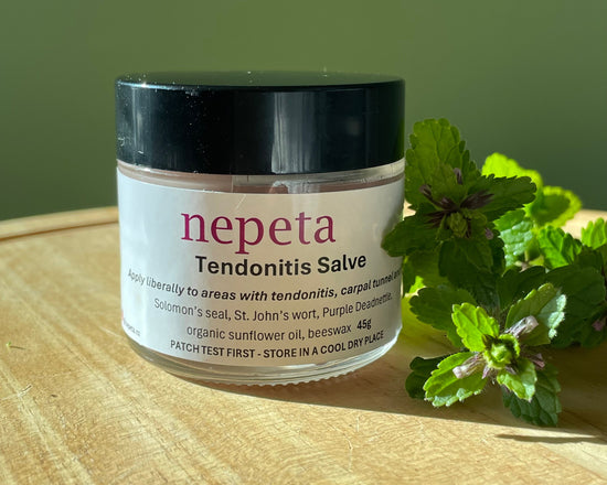 Nepeta Tendonitis Salve jar with nepeta plant on a wooden surface